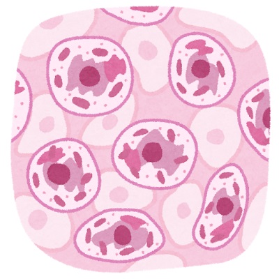 細胞再生のイメージ - 新しい生命力